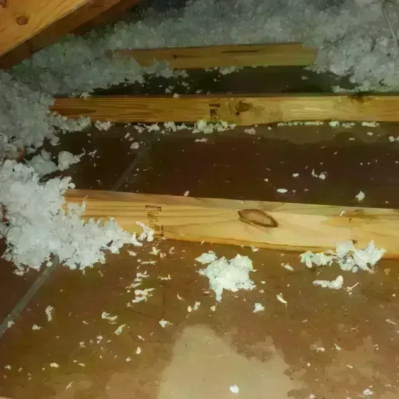 Attic Water Damage in Winona, MN