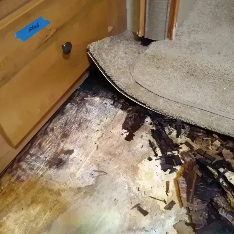 Wood Floor Water Damage in Winona, MN